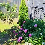 Lavender Kicsi Falu Nagy Szívvel Varázslatos Légkörrel * Golop
