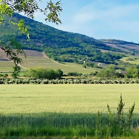 Lavender Kicsi Falu Nagy Szívvel Varázslatos Légkörrel * Golop