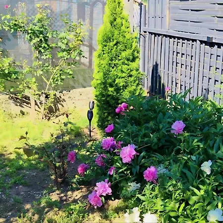 Lavender Vendeghaz Kicsi Falu Nagy Szivvel Varazslatos Legkoerrel * Golop
